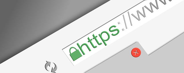 SSL Security to help rank your site higher on search engines like Google